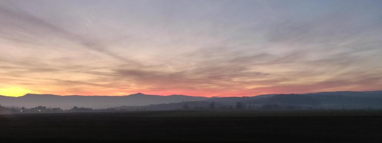 Tres Belle Vue Sur Le Mont Saint-Odile, Parking Gratuit Apartment Obernai Bagian luar foto